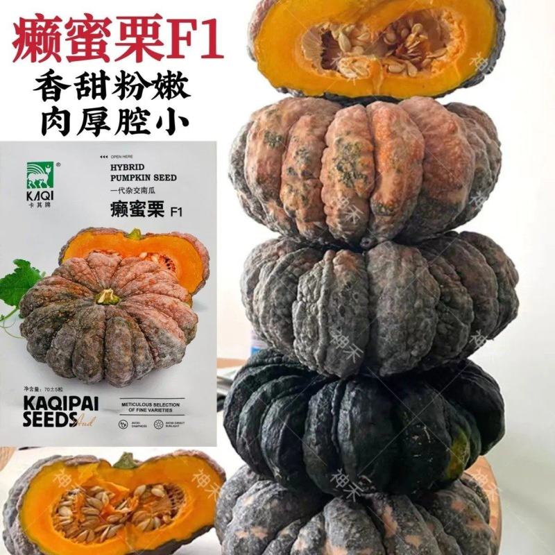卡其癞蜜栗南瓜种子杂交一代南瓜种籽嫩瓜老瓜两用香甜南瓜种