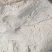 云南昭通凉山苦荞。大量供货。欢迎各位老板来电。