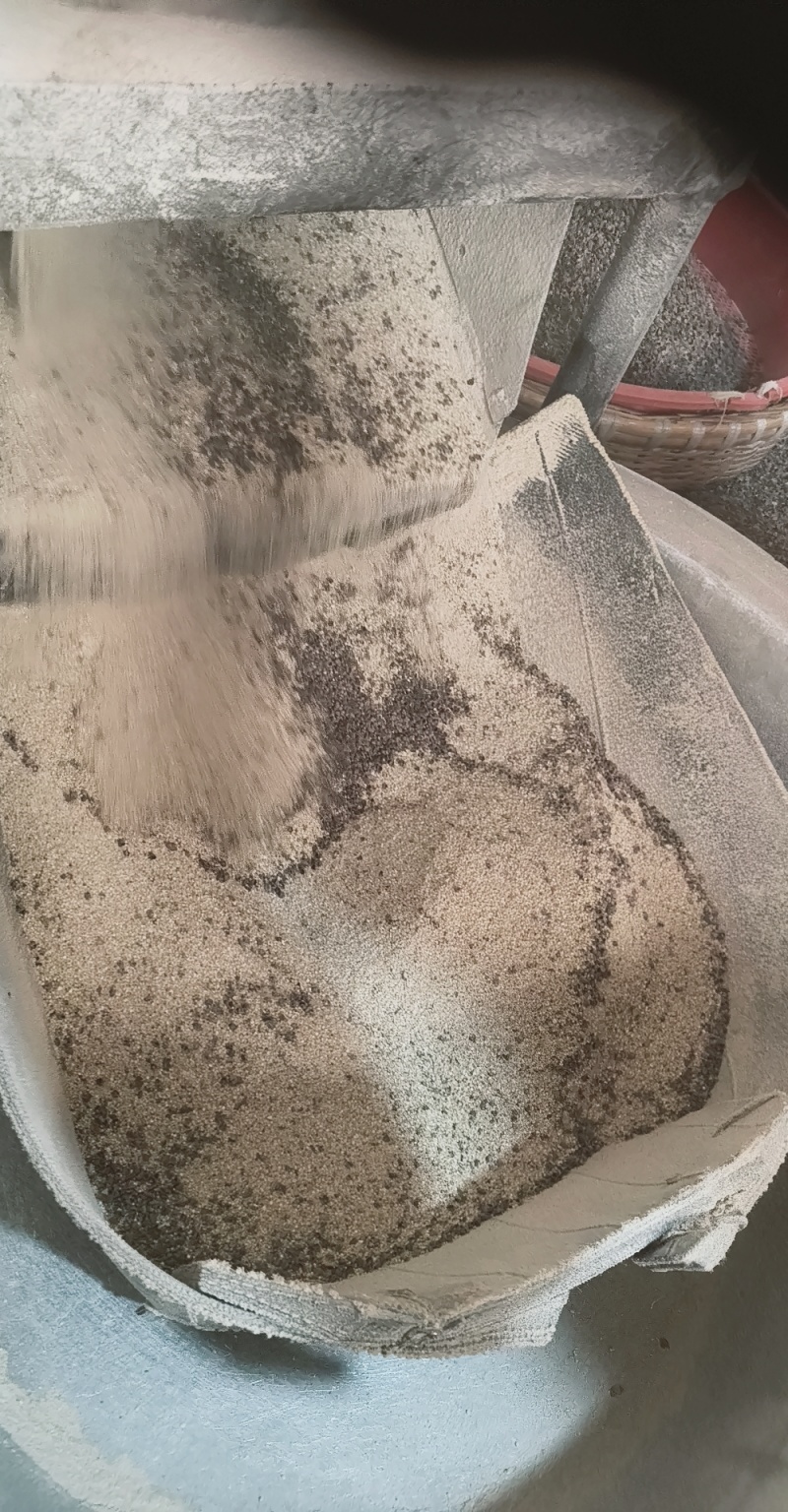 云南昭通凉山苦荞。大量供货。欢迎各位老板来电。