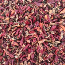 大量供应北京红干辣椒，北京红老花皮