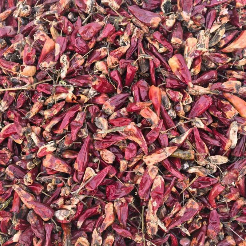 大量供应北京红干辣椒，北京红老花皮