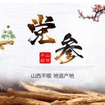党参大条党参上党潞党参可免费切片打粉天然无硫无添加剂
