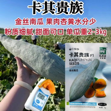 新疆丑瓜种子卡其贵族南瓜种子金丝南瓜种籽春秋粉糯甜面南瓜