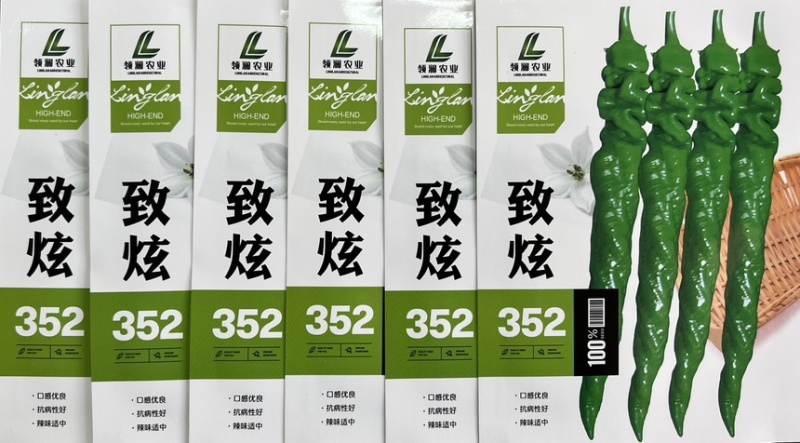 全螺麻面螺丝椒种子-致炫352高秧耐寒连续坐果