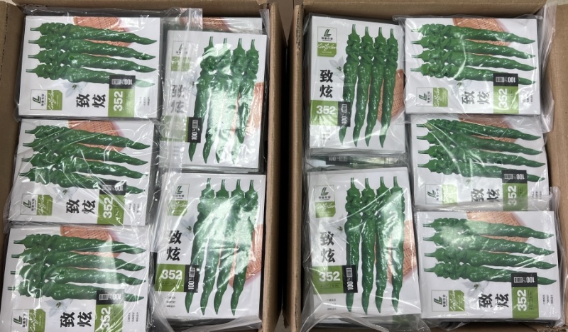全螺麻面螺丝椒种子-致炫352高秧耐寒连续坐果