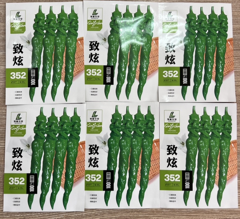 全螺麻面螺丝椒种子-致炫352高秧耐寒连续坐果