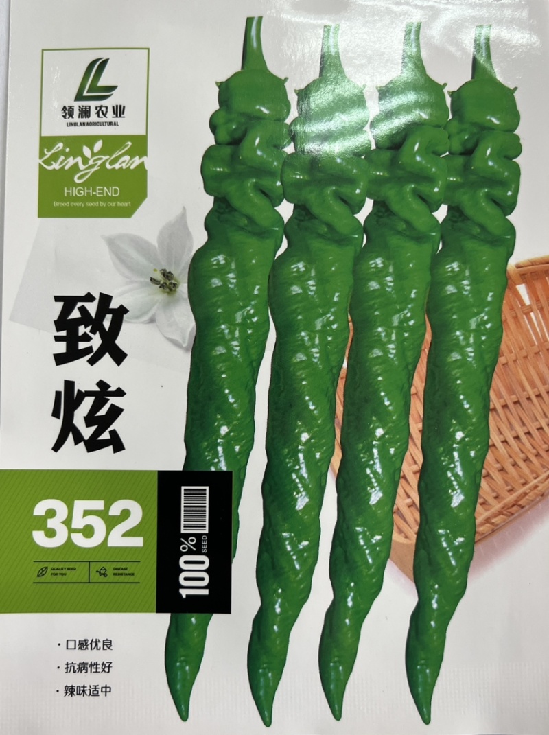 全螺麻面螺丝椒种子-致炫352高秧耐寒连续坐果