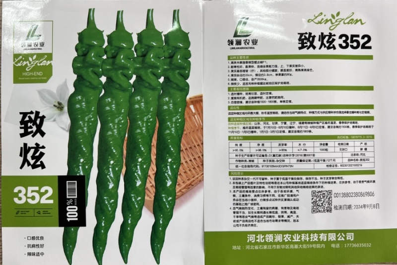 全螺麻面螺丝椒种子-致炫352高秧耐寒连续坐果