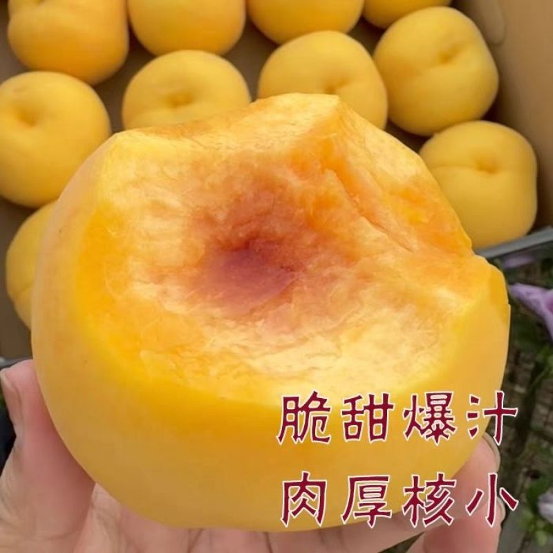 清仓】新鲜黄桃罐头当季新日期即食玻璃瓶装水果杨桃罐头破损包赔