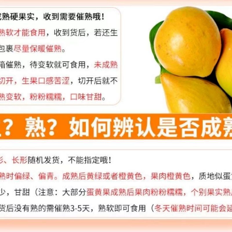 【自然熟食用】新鲜鸡蛋果蛋黄果当季孕妇热带水果1件代发