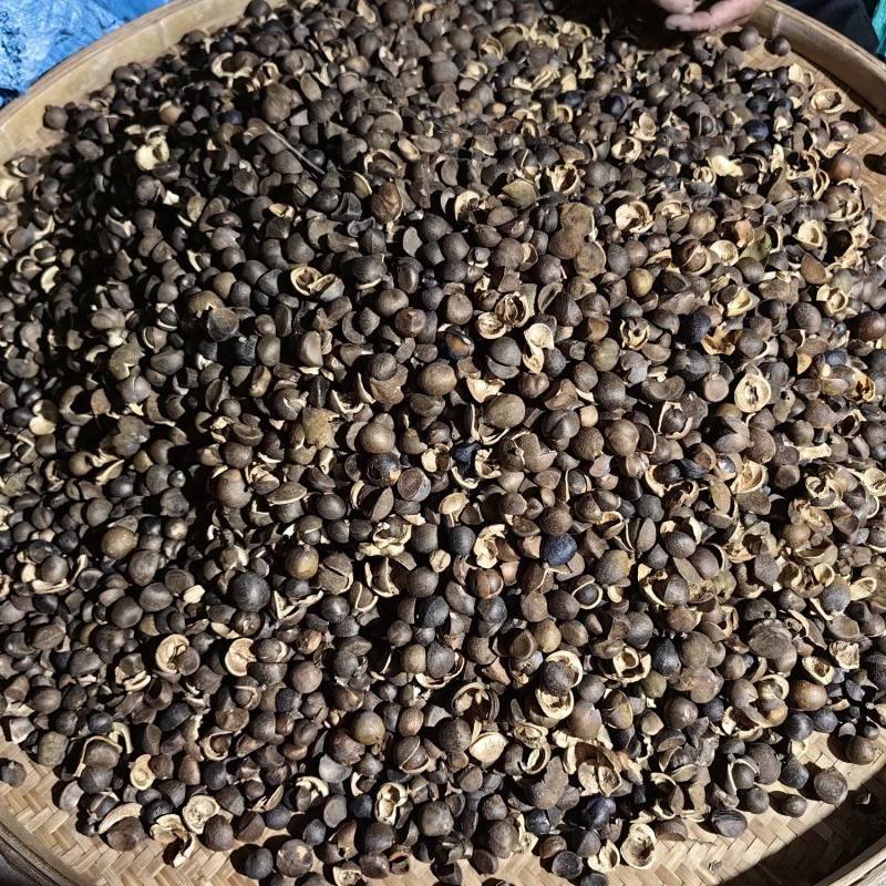 福建山茶油