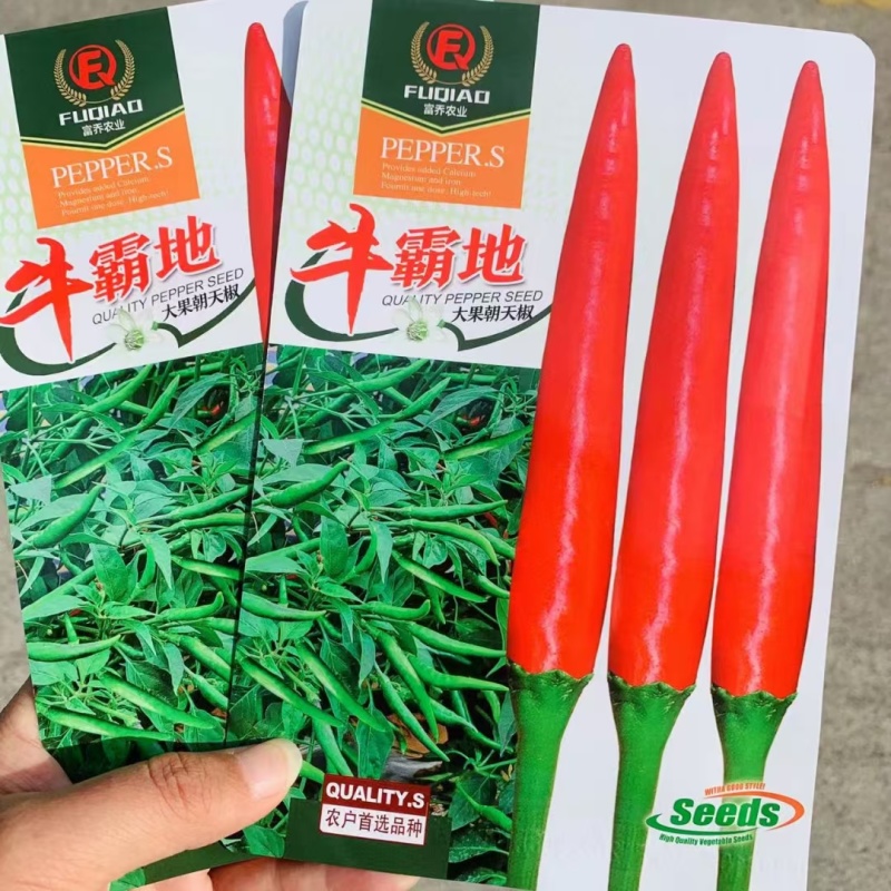 厂家直销朝天椒种子大果型泰国引进朝天椒种子热销品种果硬