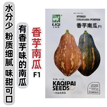 卡其香芋南瓜种子甜糯香芋味南瓜种籽春秋南瓜种籽粉糯香甜