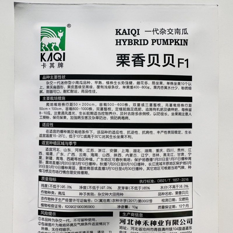 栗香贝贝南瓜种子黑绿甜栗南瓜籽高产香甜面粉糯贝贝种子