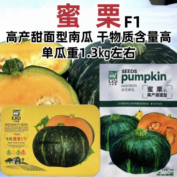 卡其蜜栗南瓜籽绿甜栗南瓜种子高产甜面板栗南瓜种子早熟粉面