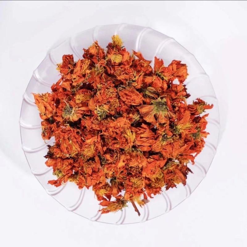 冰菊西域冰菊高山冰菊
