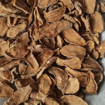 胰岛果茶野生胰岛果天然胰岛果