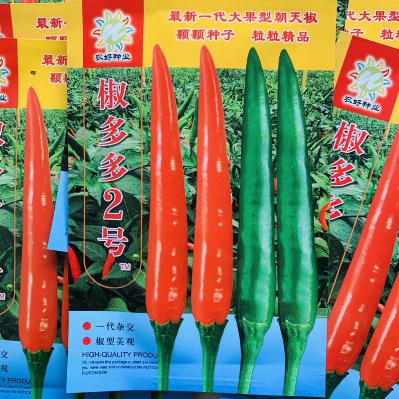 椒多多二号大果早熟朝天椒种子辣椒种子椒多多2号