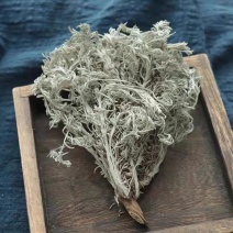 中药材整个茵陈整颗茵陈蒿白蒿绵茵陈