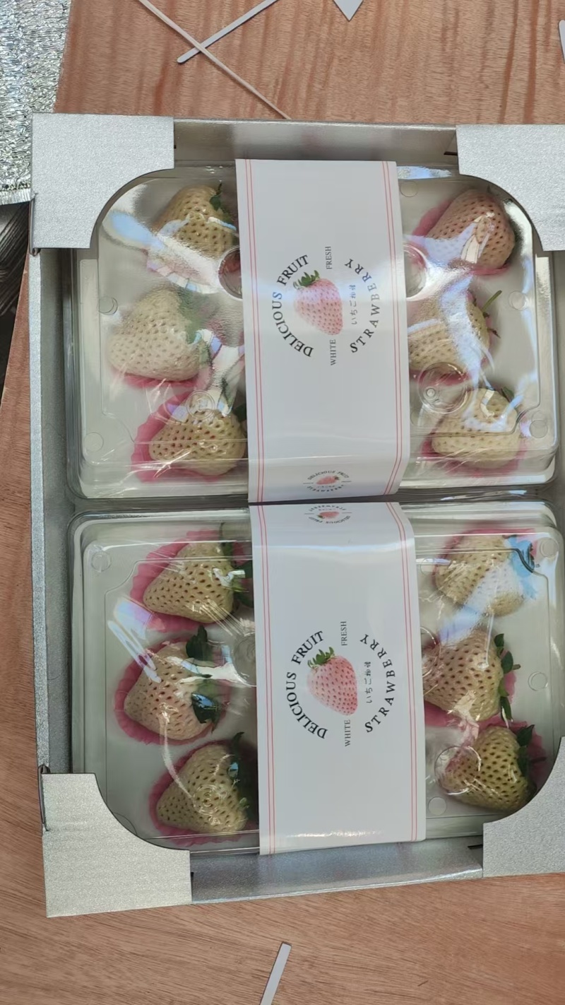 产地白草莓系列大量上市中，质量口感起飞！欢迎，私聊我