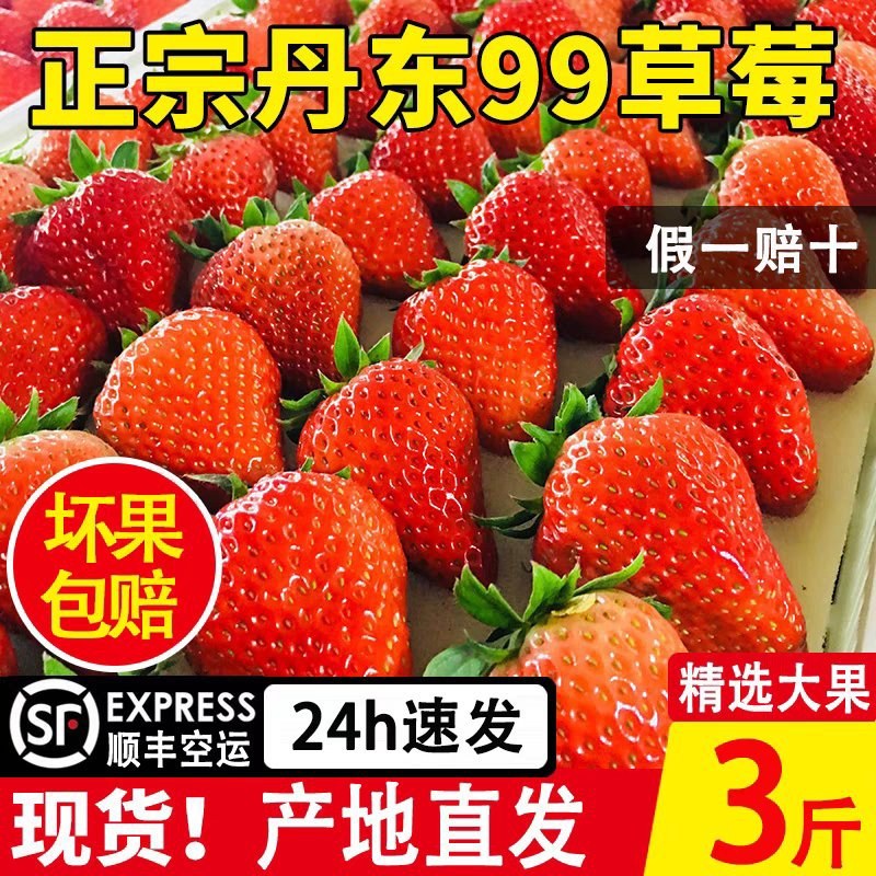【一件代发丹东东港九九草莓只做尖货真空包装招代理