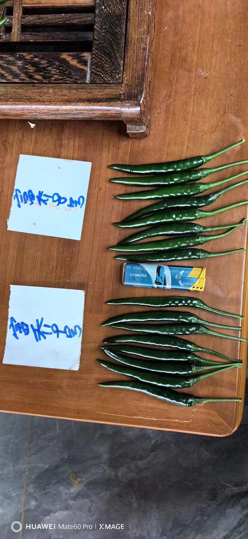 两广热销朝天椒种子泰国引进大果型朝天椒种子辣味浓硬度好
