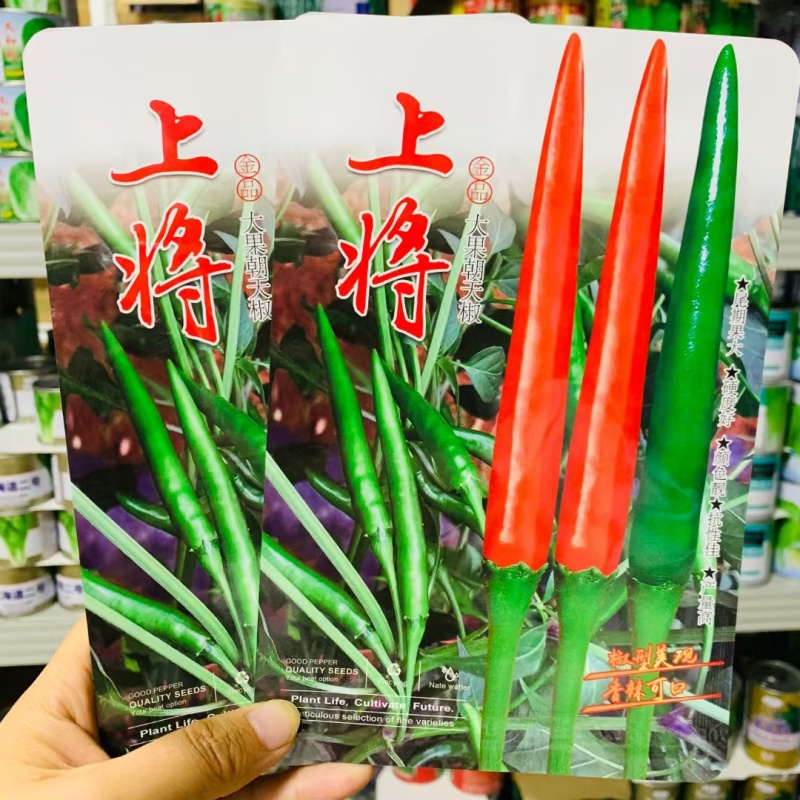 两广热销朝天椒种子泰国引进大果型朝天椒种子辣味浓硬度好