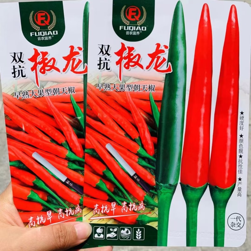 两广热销朝天椒种子泰国引进大果型朝天椒种子辣味浓硬度好
