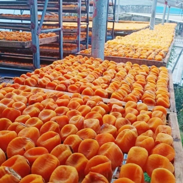 桂林平乐柿饼