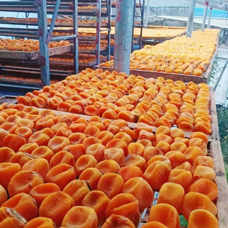 桂林平乐柿饼