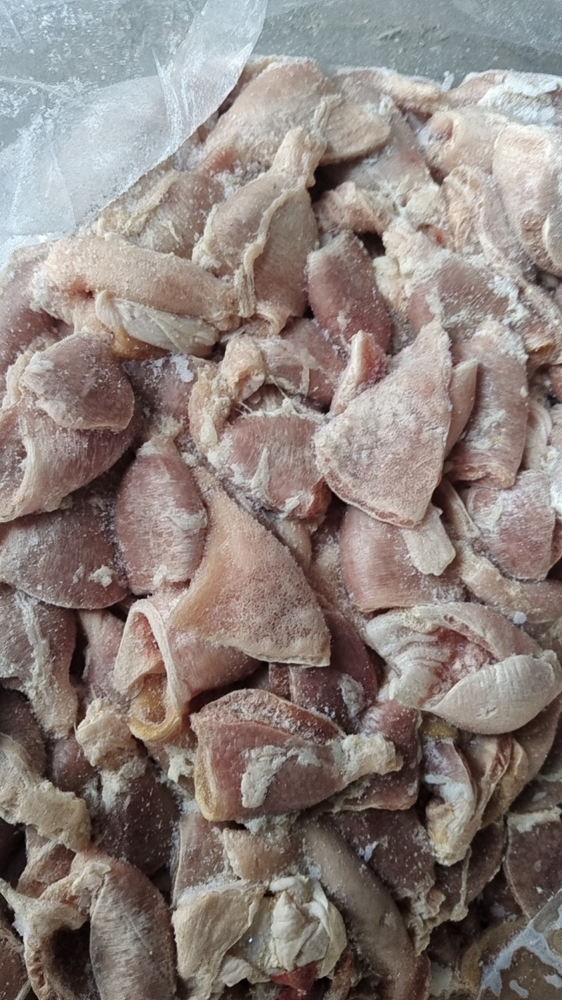 鸡腺胃鸡小肚板冻价格美丽欢迎咨询