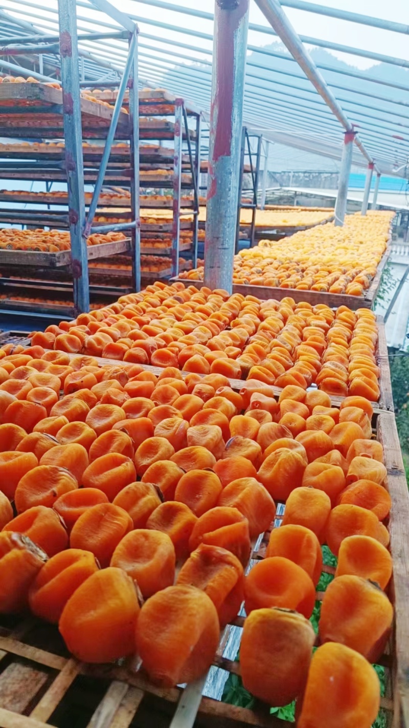 柿饼吊饼平乐柿饼
