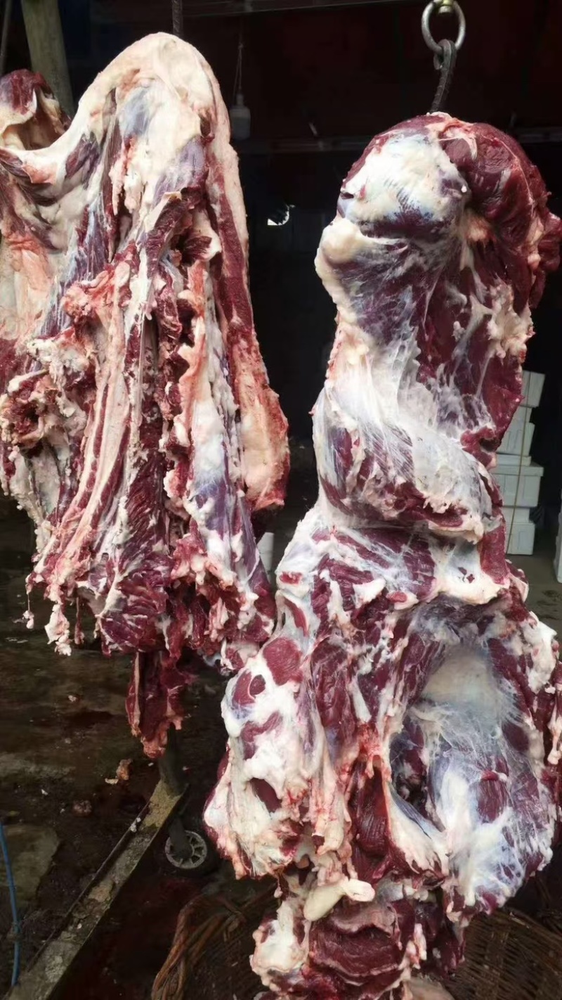 纯干牛肉不打水，价美物廉，肉色纯正源头厂家