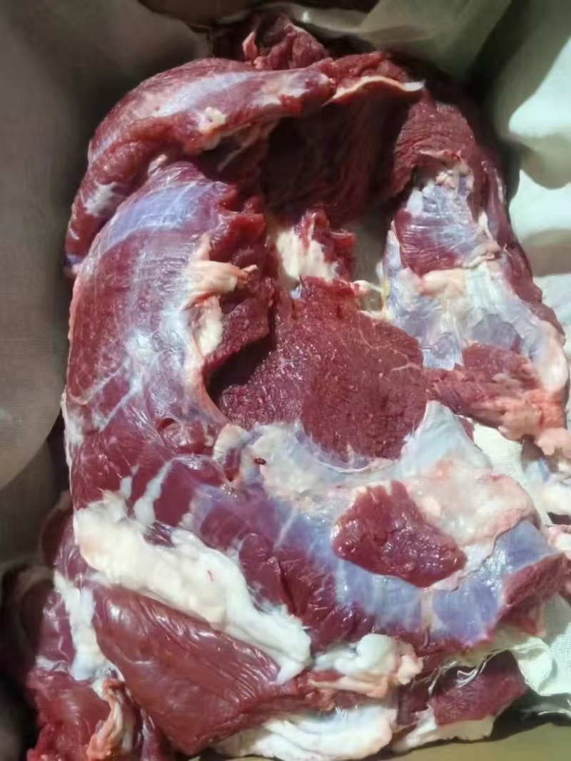 纯干牛肉不打水，价美物廉，肉色纯正源头厂家
