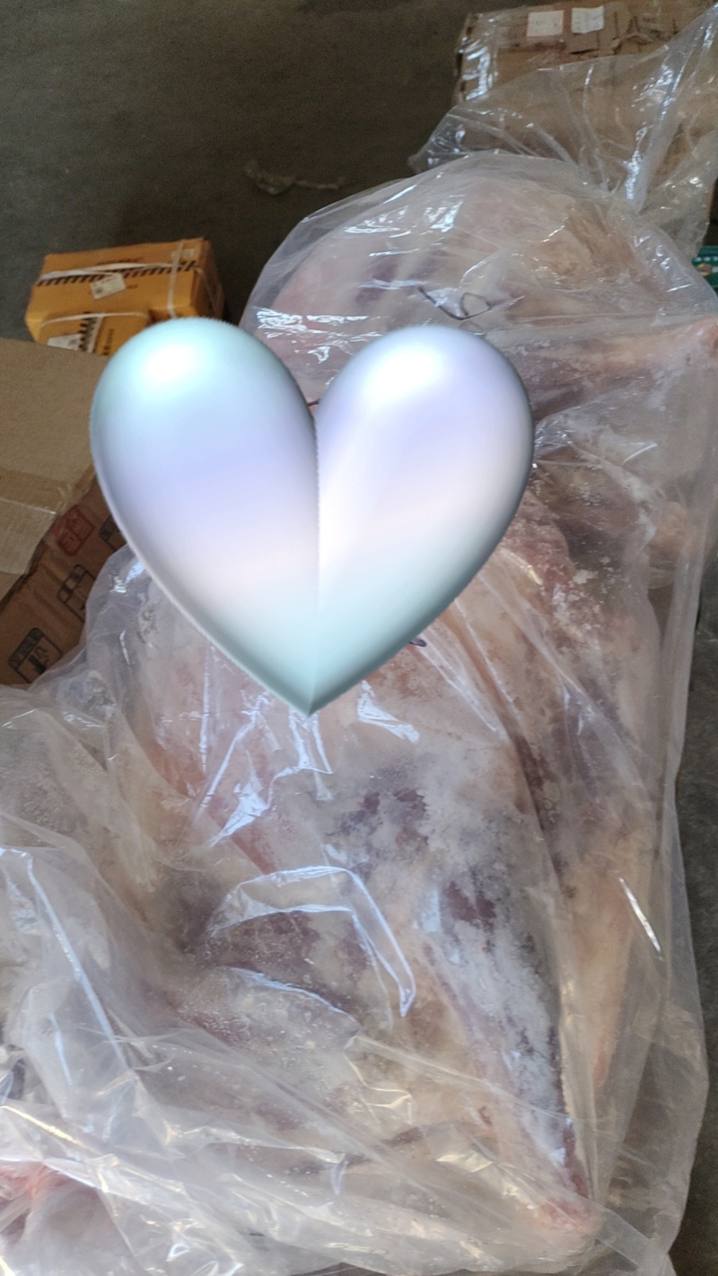 好吃的蒙古山坡羊***********