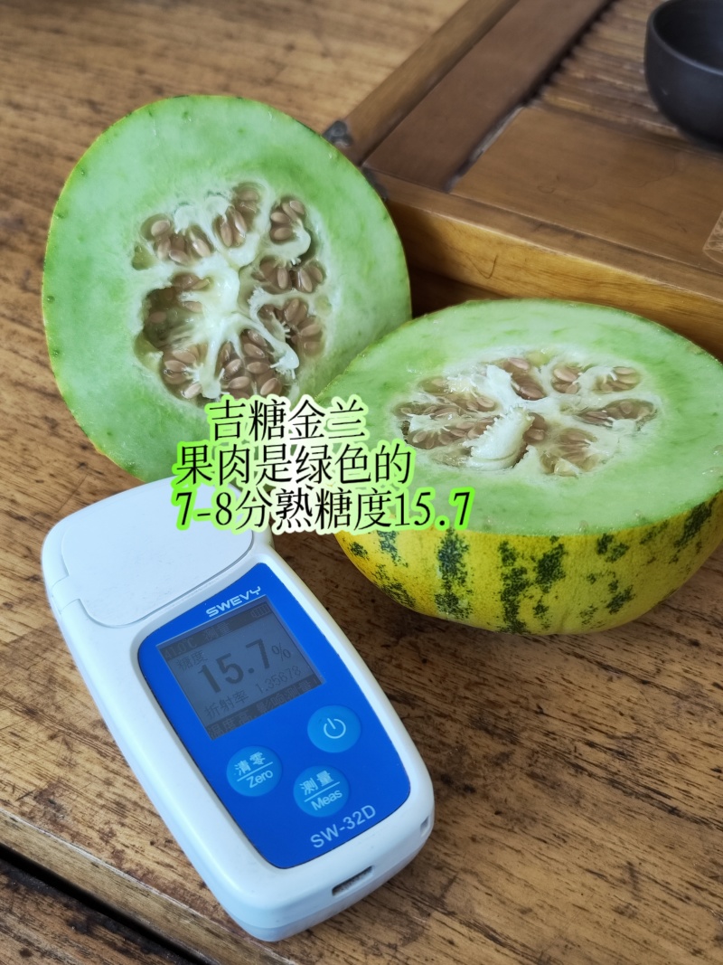 吉糖金兰甜瓜种子高糖绿肉金黄皮甜瓜种子特甜八里香甜瓜种籽