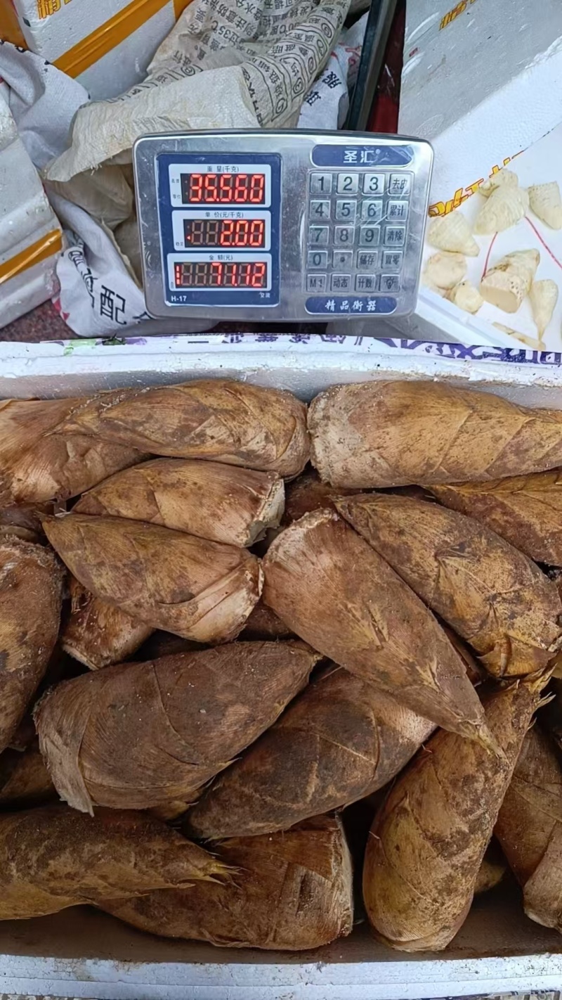 半斤以上大个头切头货。