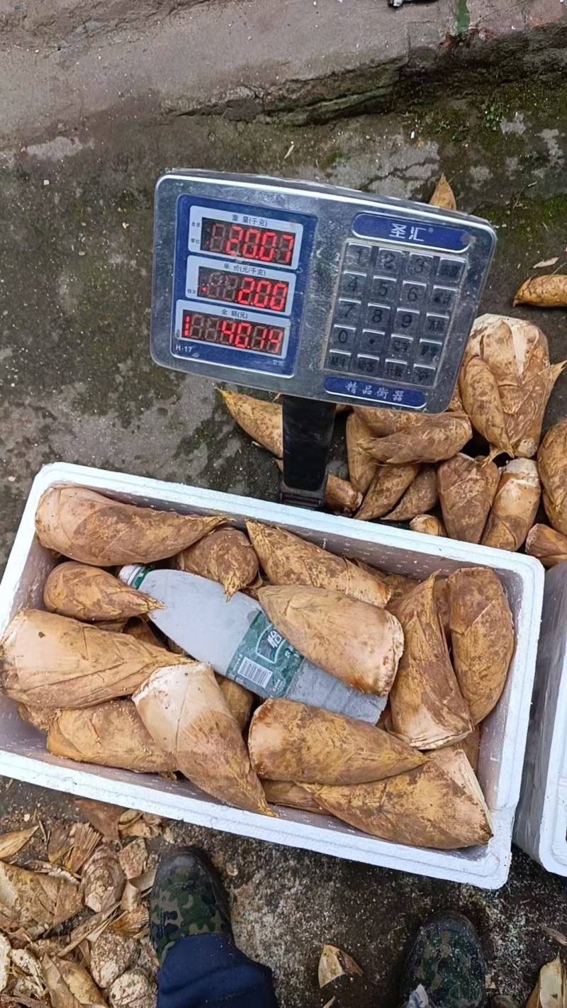 半斤以上大个头切头货。