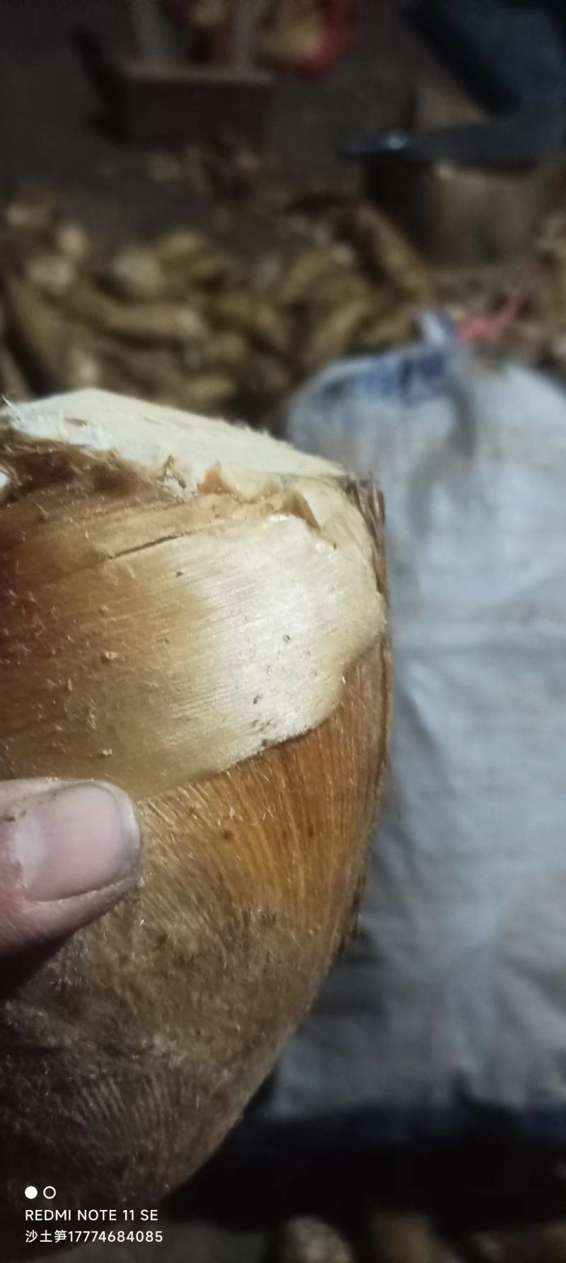 半斤以上大个头切头货。