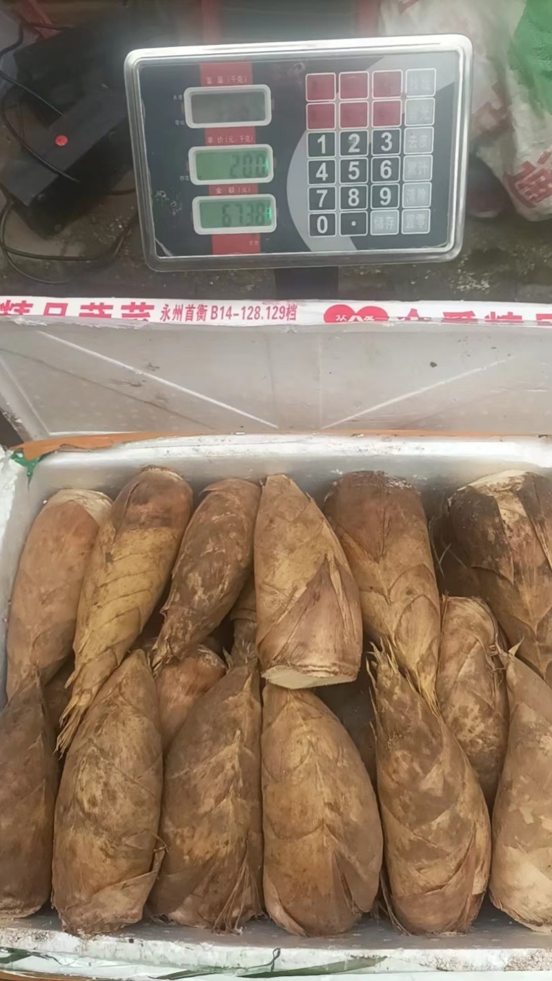 半斤以上大个头切头货。