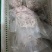 牛杂成分牛肚大肠小肠伞肚碗口牛心牛肺一斤一袋