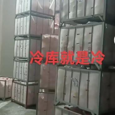 专业代办