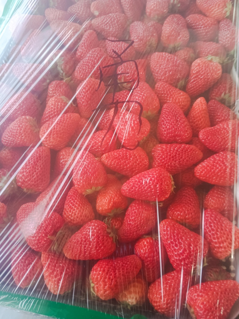 久久草莓大量上市，红颜久久草莓，口味纯正，入口软糯香甜