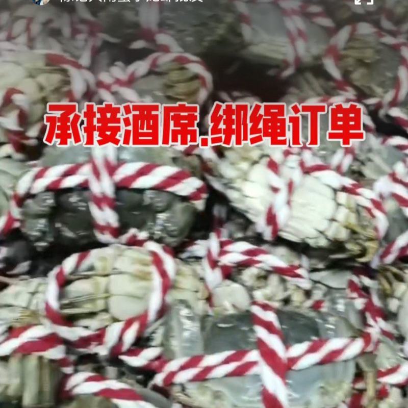 大闸蟹承接酒席绑绳围餐订单，广州黄沙市场发货，质量保证。
