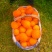 秭归园红脐橙纽荷尔橙子颜色火红口感香甜多汁个头大