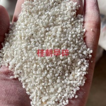 早稻碎米米粉凉皮用