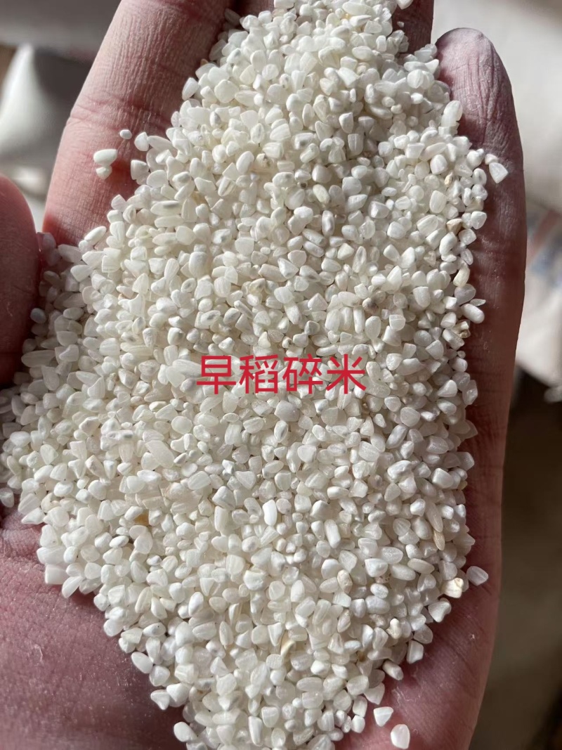 早稻碎米米粉凉皮用