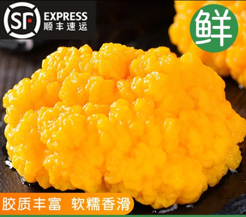 金耳鲜品，干品，菌种包，都有可以选。欢迎交流