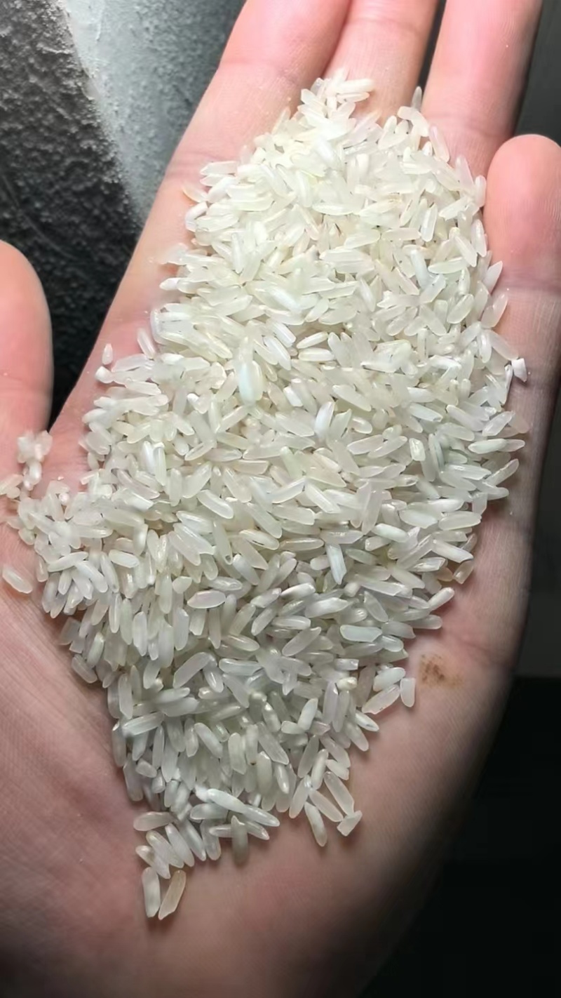 色选黄米酒米鸡米
