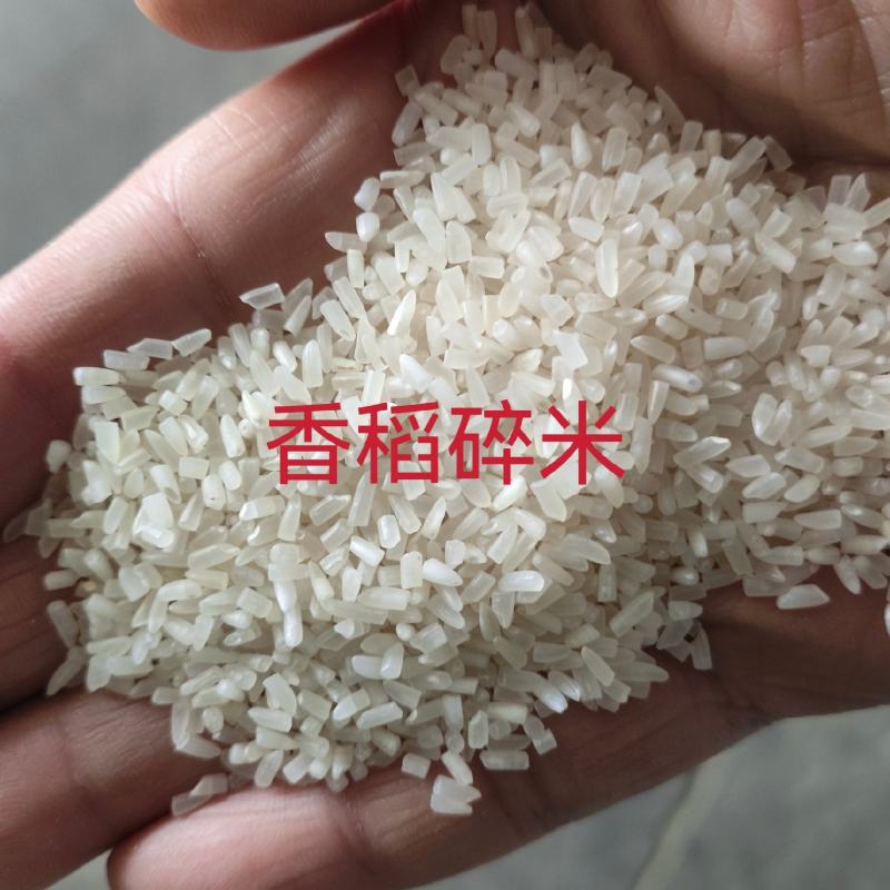 碎米香稻碎米